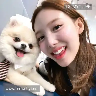 甄辰玮